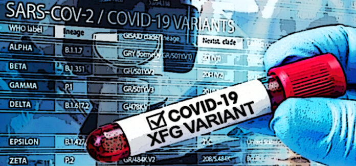 Campagna vaccinale 2026-27 anti-Covid 19 XFG, la circolare del Ministero
